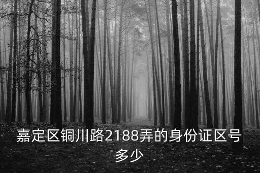 嘉定區(qū)銅川路2188弄的身份證區(qū)號(hào)多少