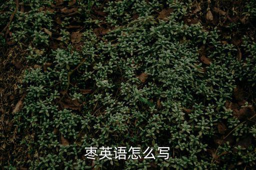 棗英語怎么寫