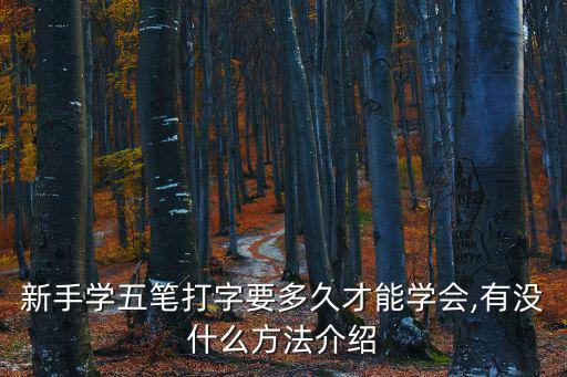 五筆輸入法學習,怎么學五筆輸入法快?