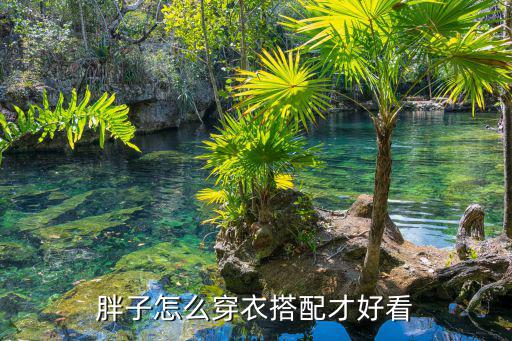 胖子怎么穿衣搭配才好看