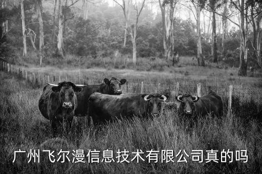 廣州飛爾漫信息技術(shù)有限公司真的嗎