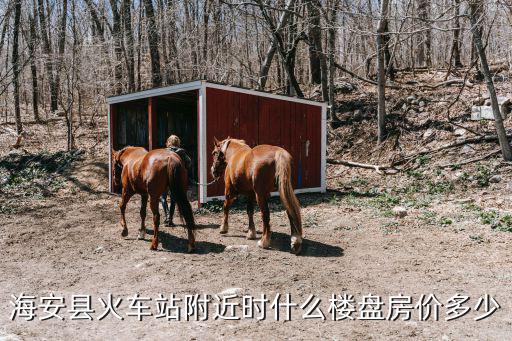海安縣火車站附近時(shí)什么樓盤房?jī)r(jià)多少