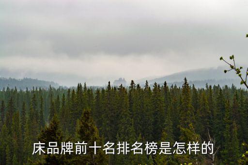 美神軟床,十大軟床品牌推介會第一場