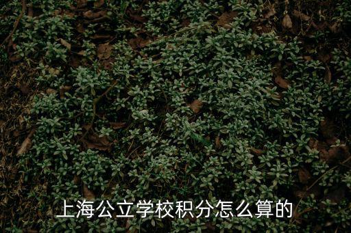 上海公立學校積分怎么算的