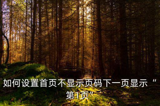 如何設(shè)置首頁不顯示頁碼下一頁顯示“第1頁”