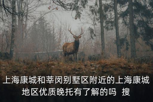 上海市圓石灘別墅，請(qǐng)問(wèn)在上海地區(qū)做商業(yè)別墅木工瓦工的清包價(jià)格是多少