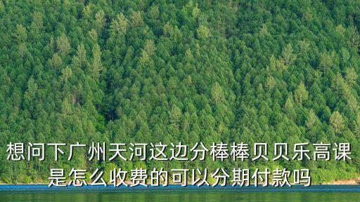 想問下廣州天河這邊分棒棒貝貝樂高課是怎么收費的可以分期付款嗎