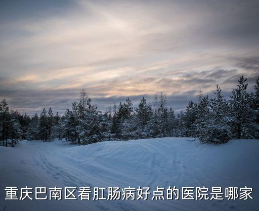 重慶市巴南二級(jí)醫(yī)院，重慶市巴南區(qū)人民醫(yī)院的醫(yī)院地址