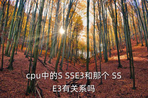 SSE3,sse3擴展產品曾用于2002年7月