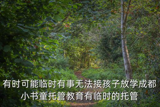 理想汽車充電樁安裝成都市服務商，成都騰翼c30按揭怎樣付款