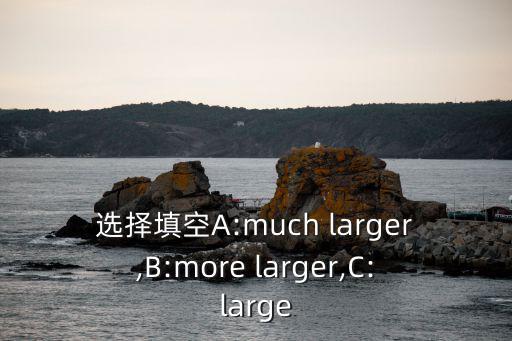選擇填空A:much larger,B:more larger,C:large