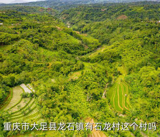 重慶市大足縣龍石鎮有石龍村這個村嗎