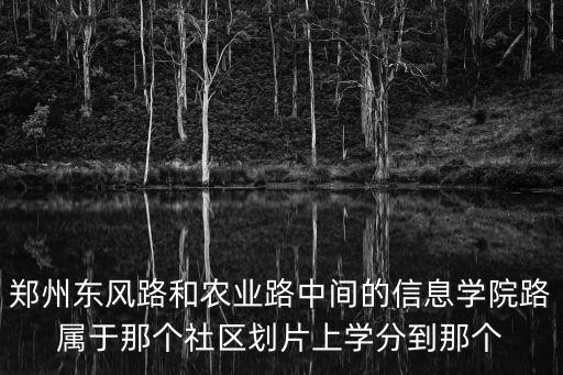 鄭州東風(fēng)路和農(nóng)業(yè)路中間的信息學(xué)院路屬于那個社區(qū)劃片上學(xué)分到那個