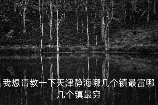 天津市靜海區哪個村比較富，靜海區小高村