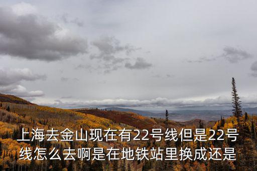 上海去金山現在有22號線但是22號線怎么去啊是在地鐵站里換成還是