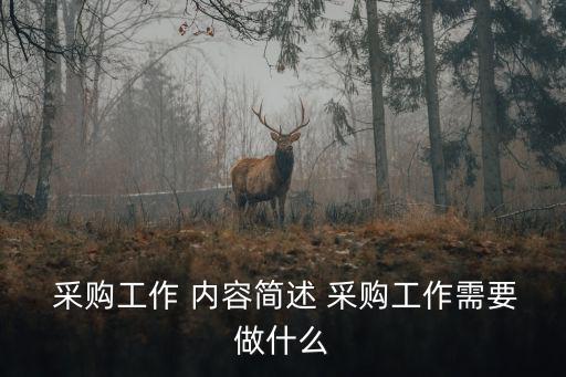 采購工作內容,協助處理異常來料我國物資總監:對分管工作負責