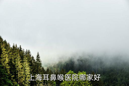 上海耳鼻喉醫(yī)院哪家好