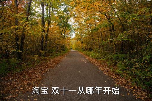 淘寶 雙十一從哪年開始