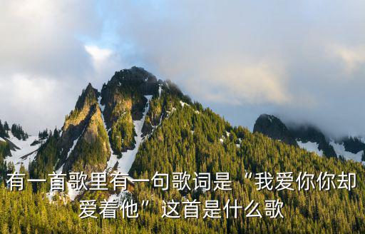 我愛你你卻愛著他,我把心交給你你卻在夢里呼喚他