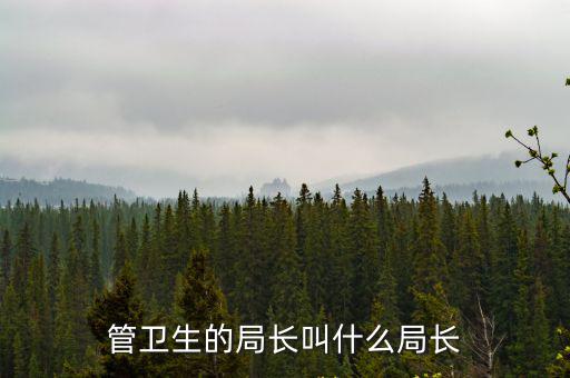 管衛生的局長叫什么局長