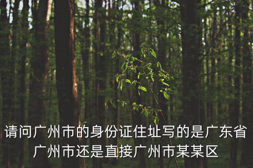 請問廣州市的身份證住址寫的是廣東省廣州市還是直接廣州市某某區