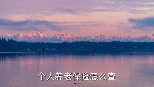 個人養老保險怎么查