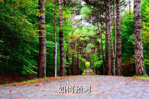 如何預(yù)習(xí)，如何預(yù)習(xí)