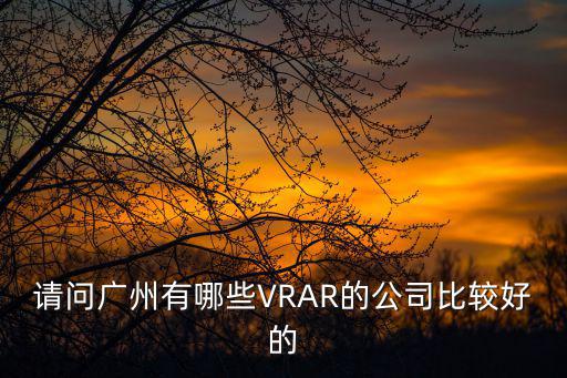 請(qǐng)問(wèn)廣州有哪些VRAR的公司比較好的