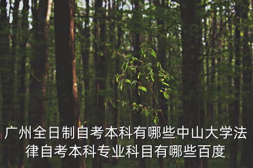 廣州全日制自考本科有哪些中山大學法律自考本科專業科目有哪些百度