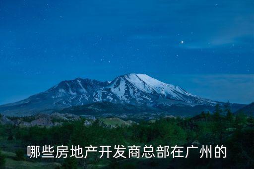 廣州市區(qū)某房地產(chǎn)開發(fā)公司，廣州市白云區(qū)同和鎮(zhèn)東園北街倚山翠庭小區(qū)是什么房地產(chǎn)公司開發(fā)  搜