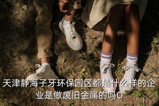 天津靜海子牙環保園區都是什么樣的企業是做廢舊金屬的嗎O