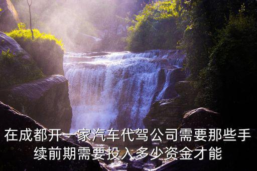 成都市代駕怎么進(jìn)入，我的駕齡還差3個(gè)月滿5年怎么進(jìn)入滴滴代駕公司有在滴滴代駕公司
