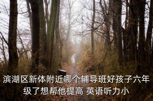 濱湖區(qū)新體附近哪個輔導(dǎo)班好孩子六年級了想幫他提高 英語聽力小