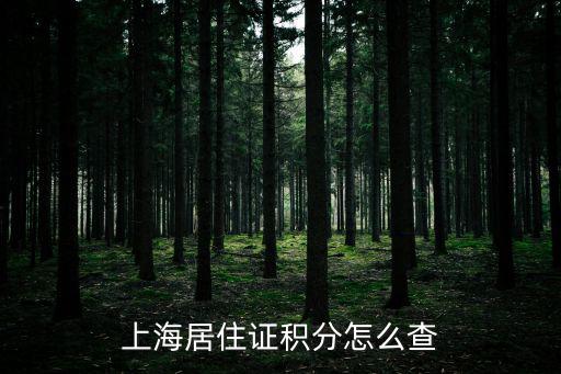 上海居住證積分怎么查