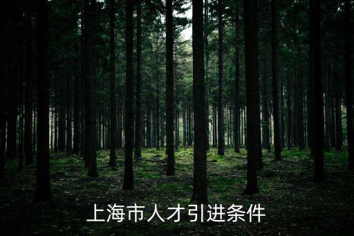 落戶上海人才引進(jìn)需要什么條件，上海市人才引進(jìn)條件