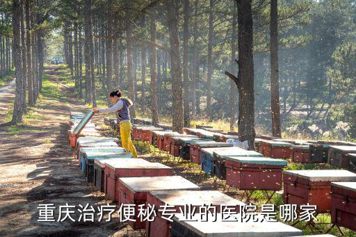 重慶治療便秘專業的醫院是哪家