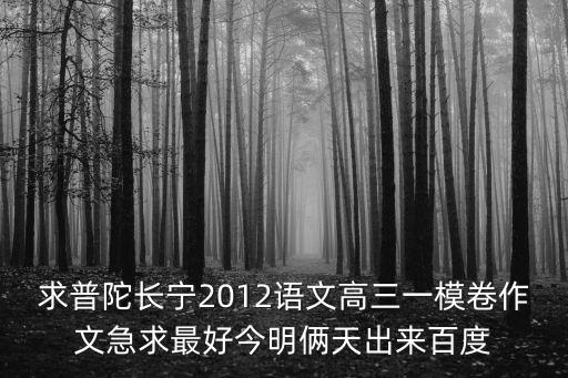 求普陀長寧2012語文高三一模卷作文急求最好今明倆天出來百度