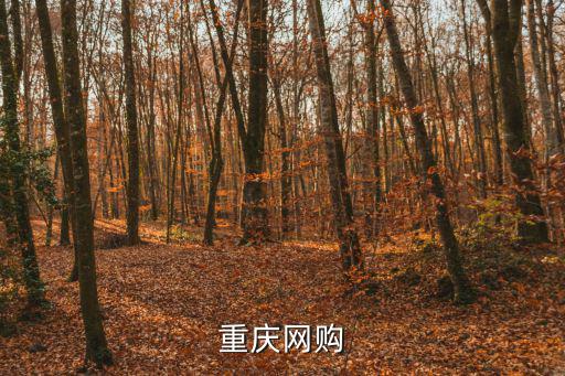 重慶市商務官網，重慶哪里網絡公司網站設計最厲害