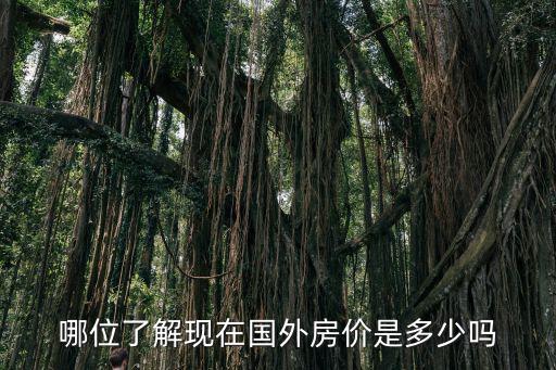 哪位了解現在國外房價是多少嗎
