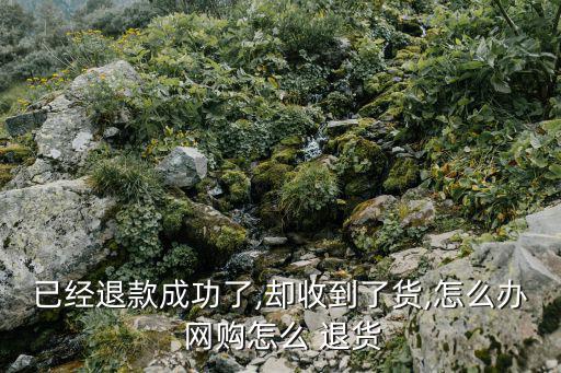 已經退款成功了,卻收到了貨,怎么辦 網購怎么 退貨