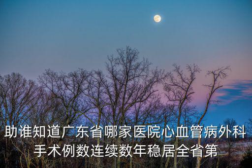 助誰知道廣東省哪家醫院心血管病外科手術例數連續數年穩居全省第