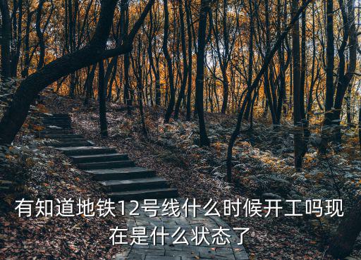 有知道地鐵12號線什么時候開工嗎現在是什么狀態了