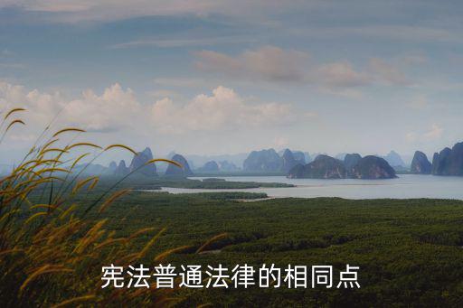 憲法普通法律的相同點