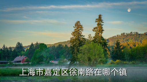 上海市嘉定區徐南路在哪個鎮