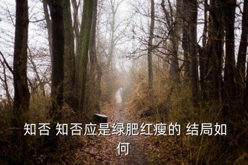 知否 知否應是綠肥紅瘦的 結局如何