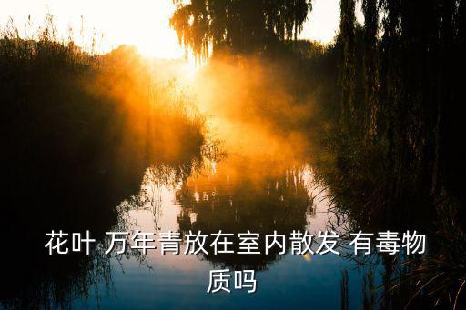  花葉 萬年青放在室內散發 有毒物質嗎