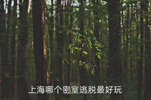 上海哪個(gè)密室逃脫最好玩