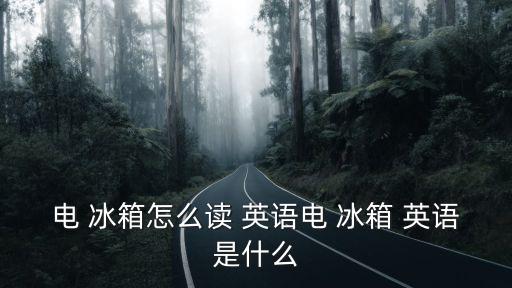 電 冰箱怎么讀 英語電 冰箱 英語是什么