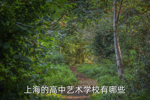上海的高中藝術(shù)學(xué)校有哪些