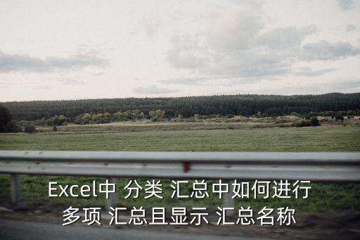 Excel中 分類 匯總中如何進行多項 匯總且顯示 匯總名稱
